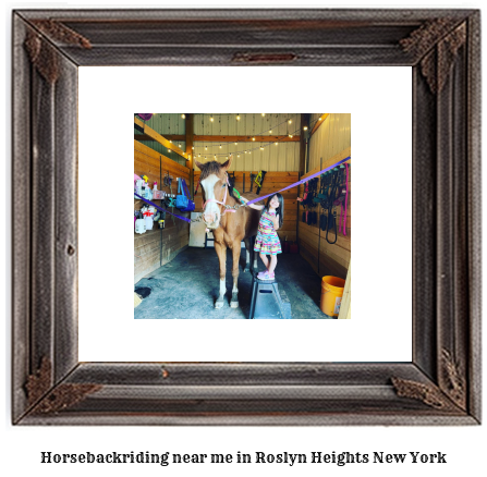 horseback riding near me in Roslyn Heights, New York